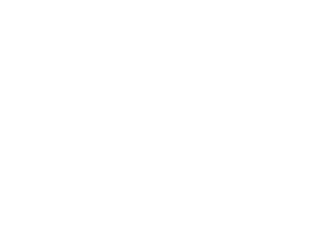 Breitbandnetz Gesellschaft
