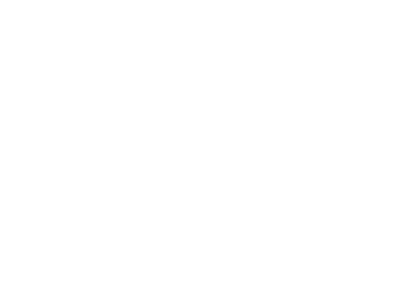 Schleswiger Stadtwerke